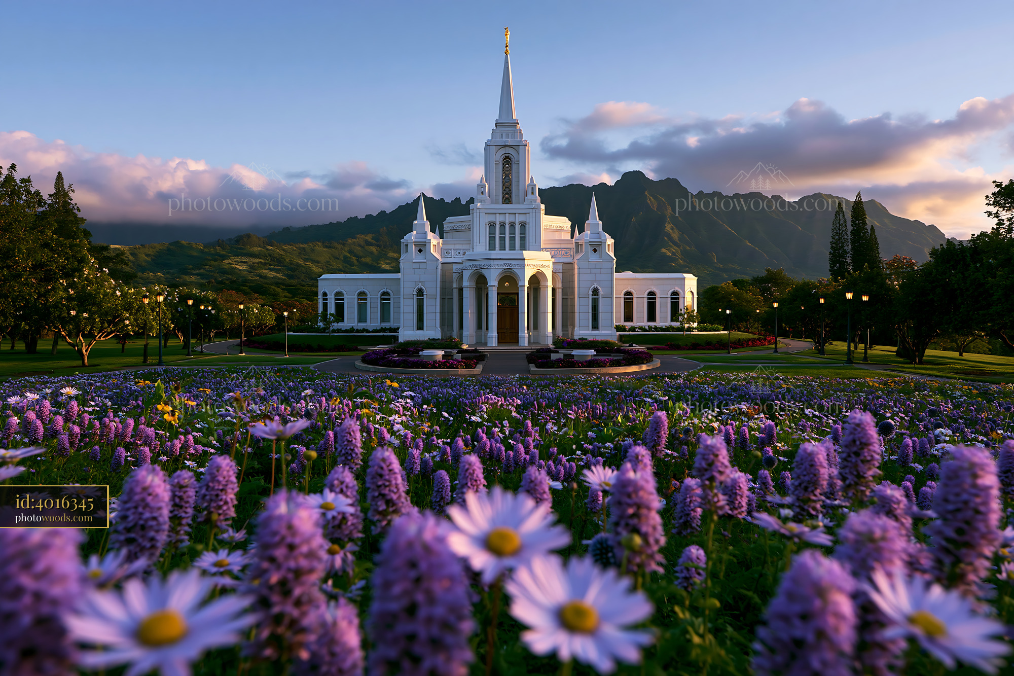 Laie Hawaii Temple With Purple Flowers in the Foreground