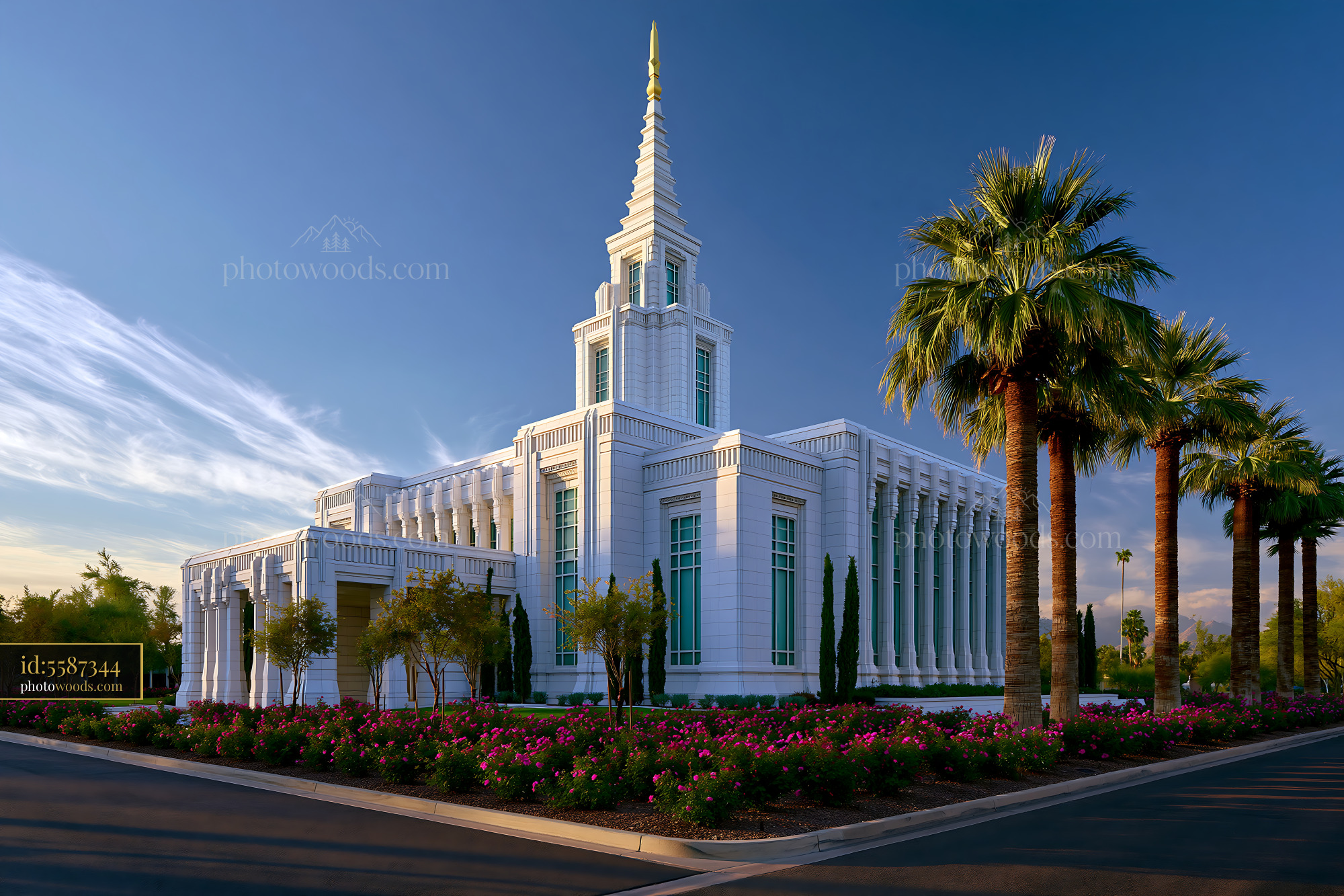 Phoenix Arizona Temple With Tall Palm Trees and Colorful Flowers