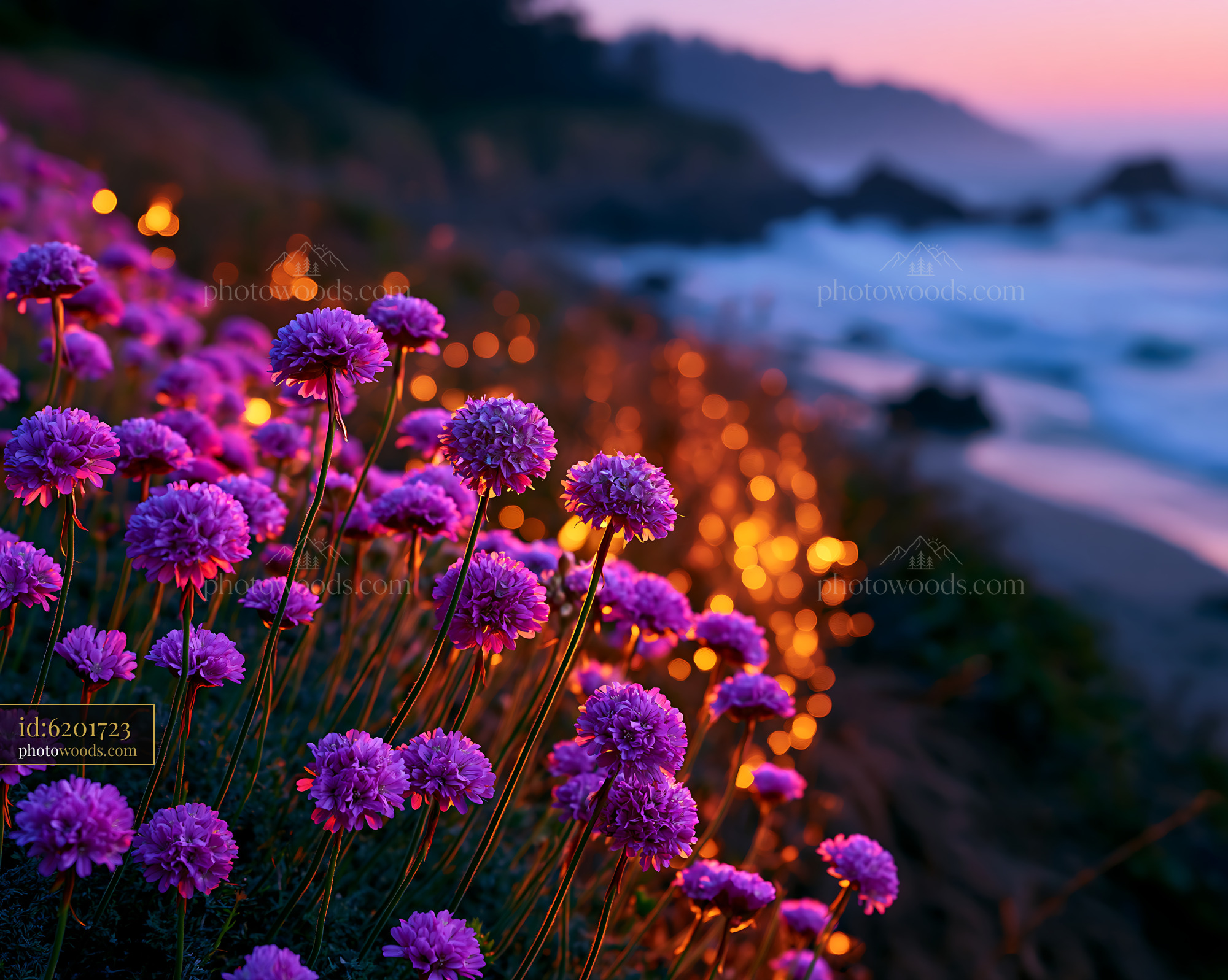 Purple Flowers Bloom Near Ocean Waves at Sunset Glow