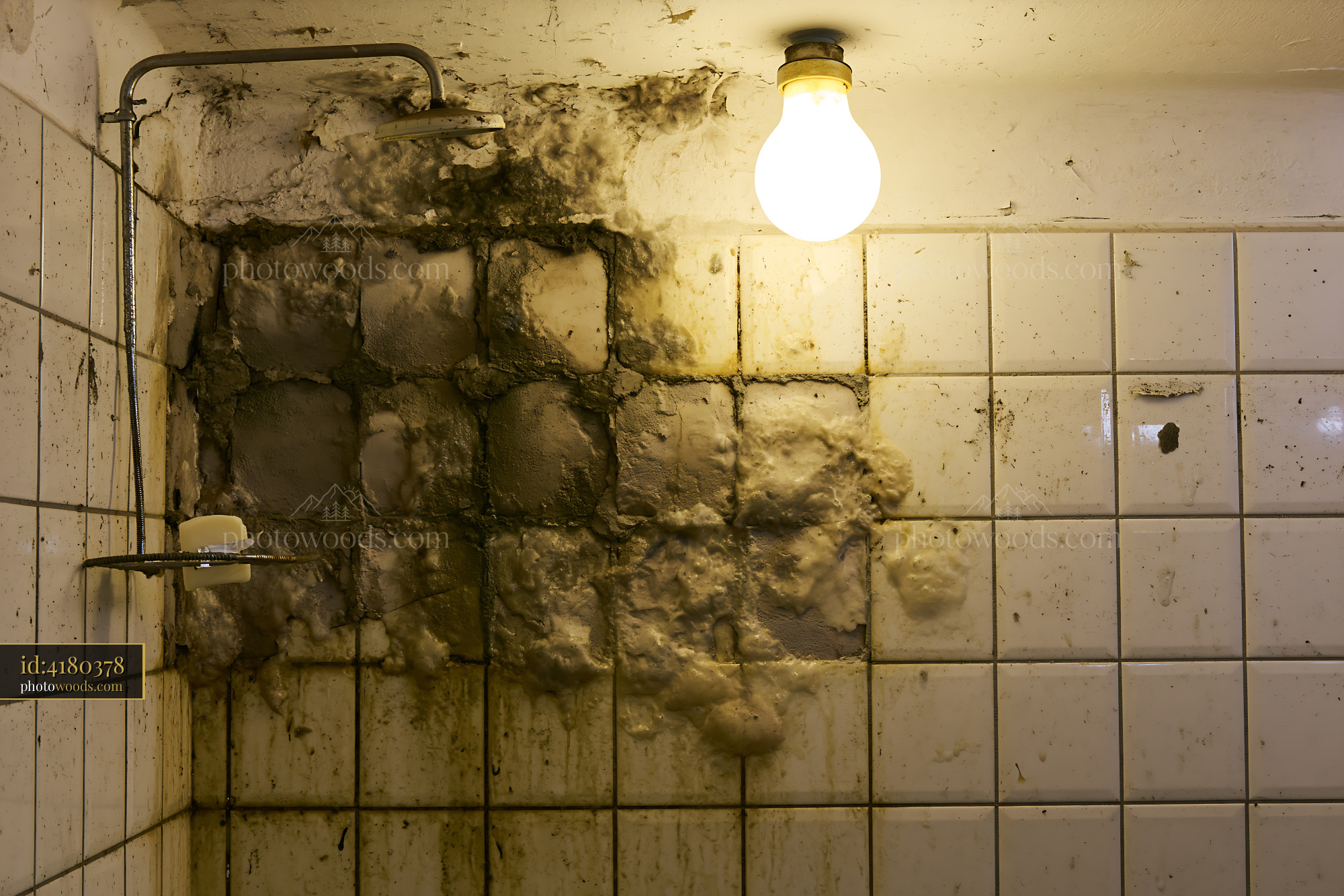 Mold on Bathroom Tiles With Broken Lighting Fixture