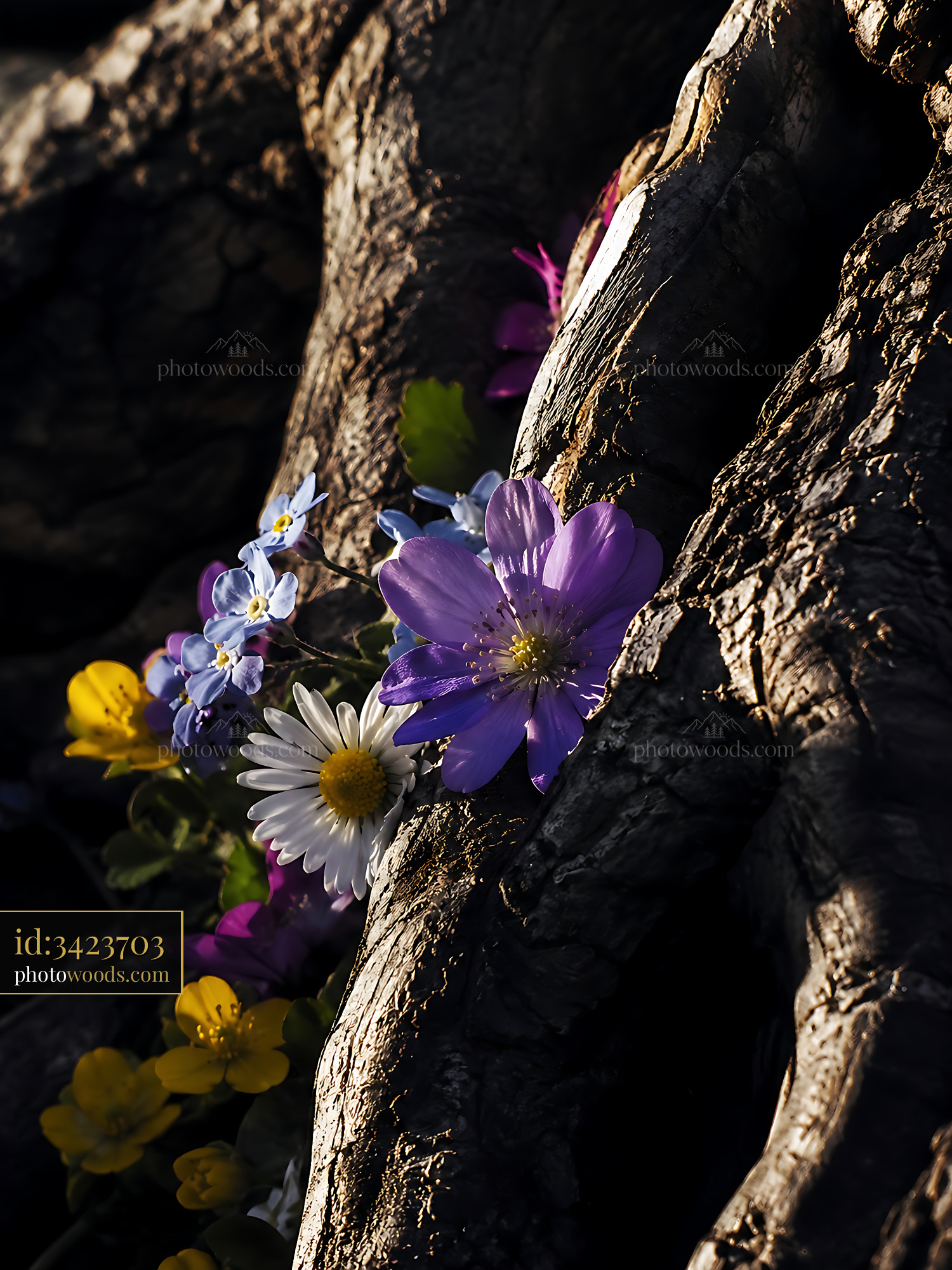 Flowers Grow on Tree Bark in Sunlight Showcasing Nature's Detail