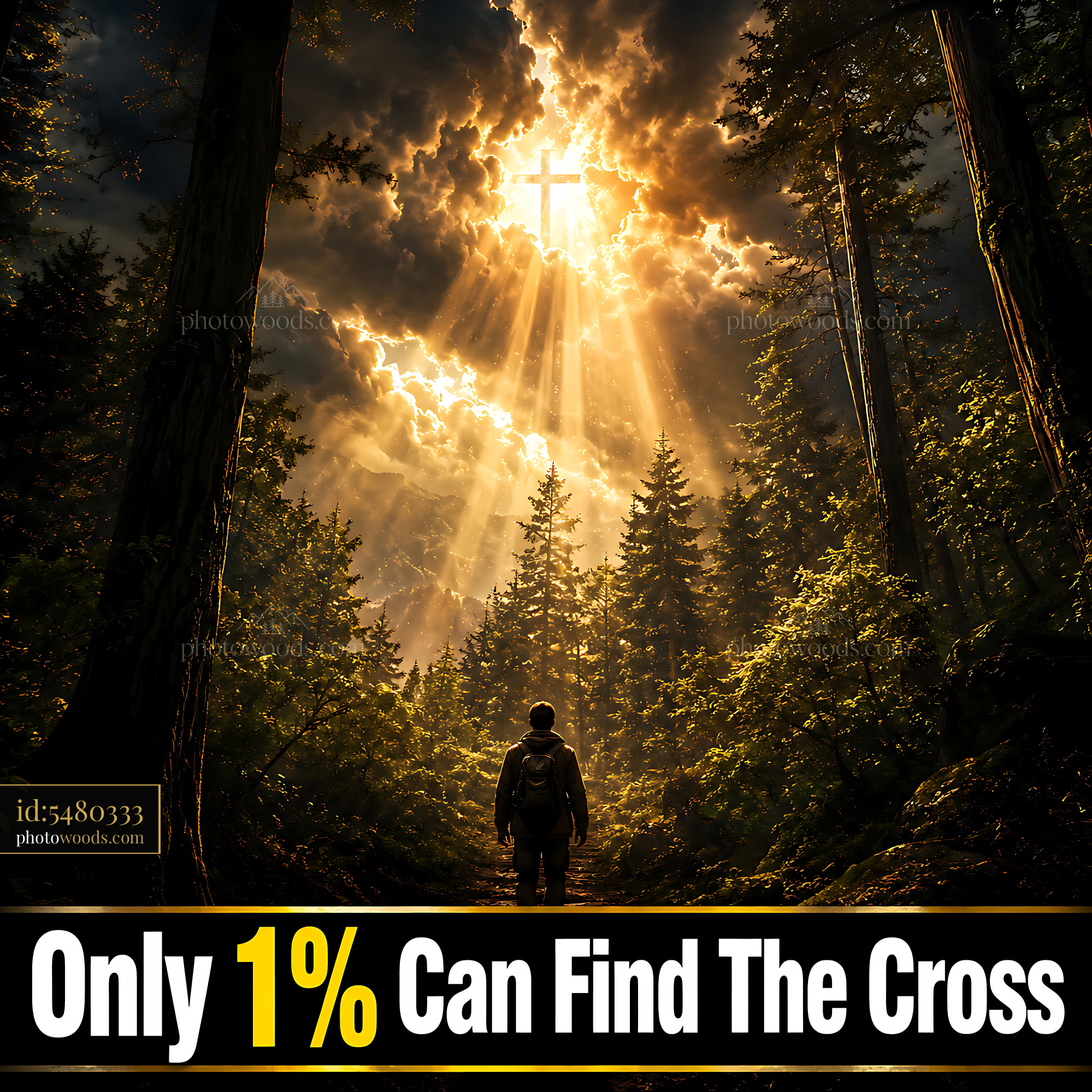 Person Standing in Forest With Light Shining Through Trees