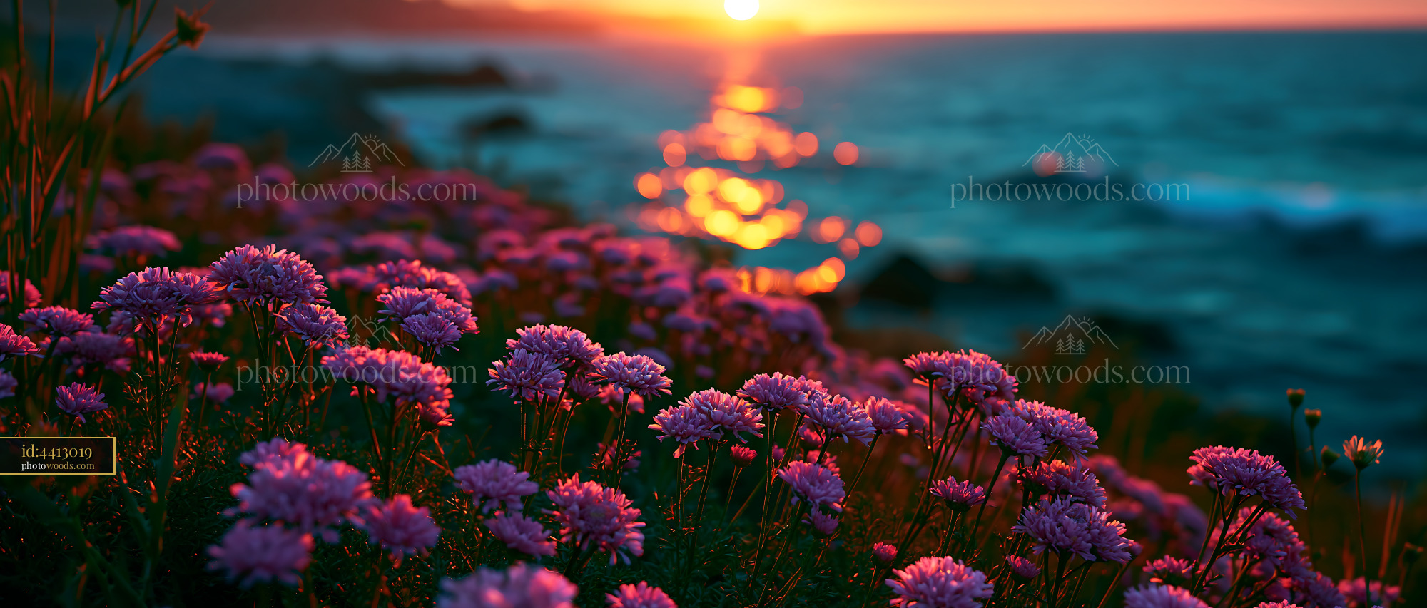 Flowers Bloom Near Ocean at Sunset With Gentle Waves in Background