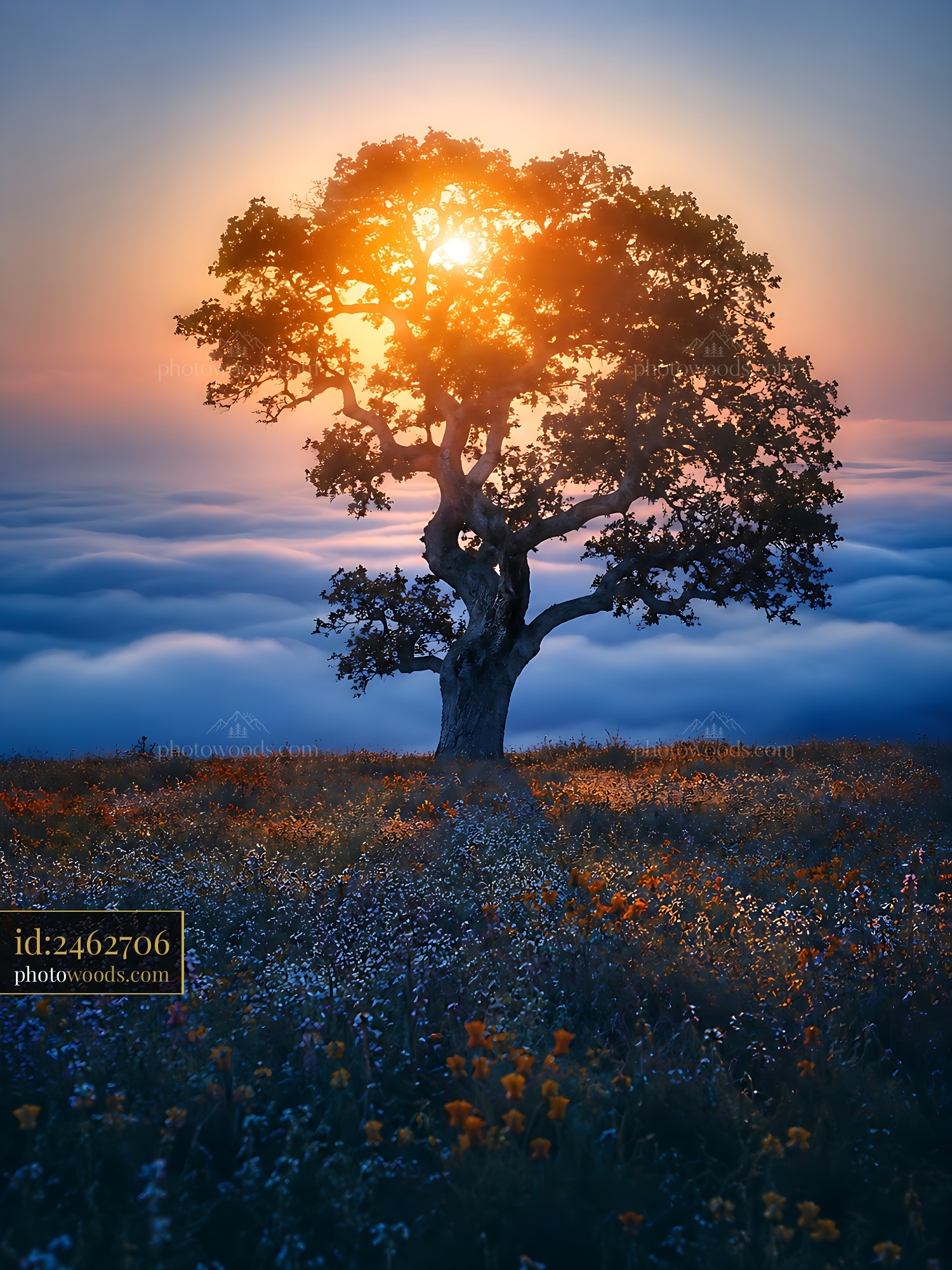 Tree Stands Against Sunset Sky Above Clouds With Flowers Below