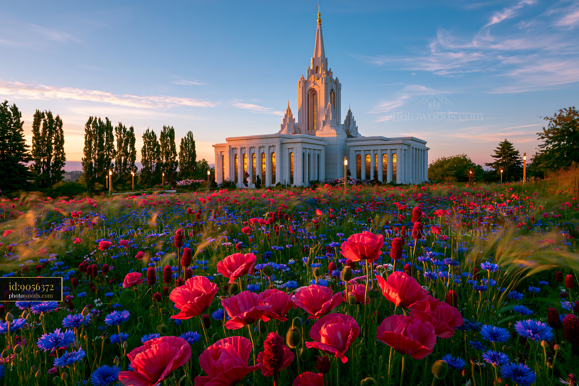 Flowers and Temple at Sunset in a Vibrant Garden Setting