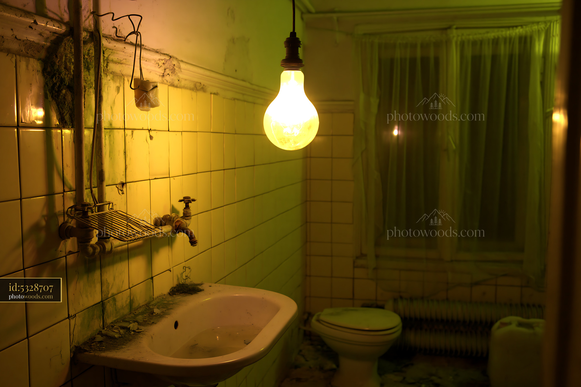 Moldy Bathroom With Broken Tiles and Dim Lighting