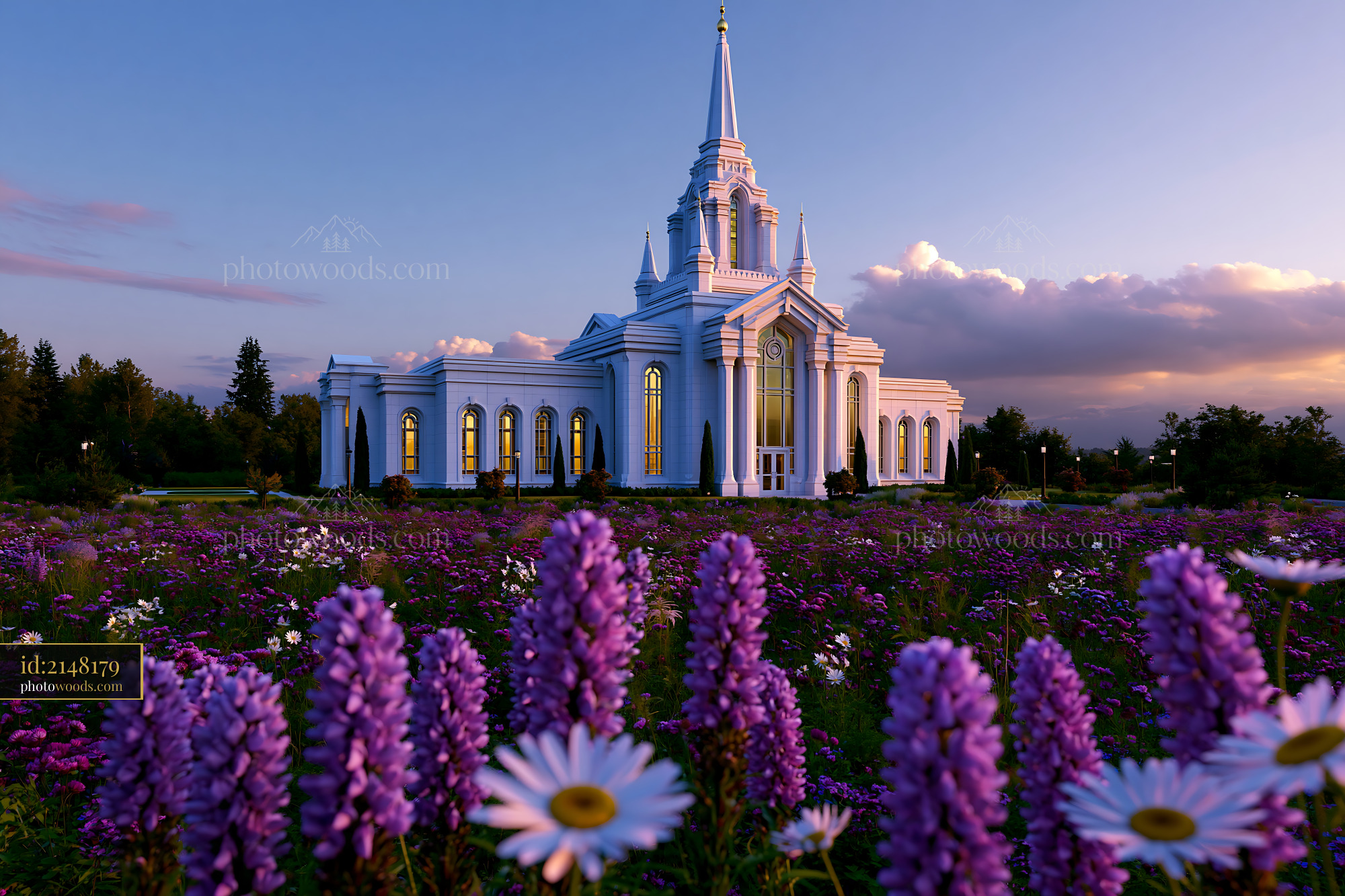 Marys Church With Purple Flowers in Garden at Sunset
