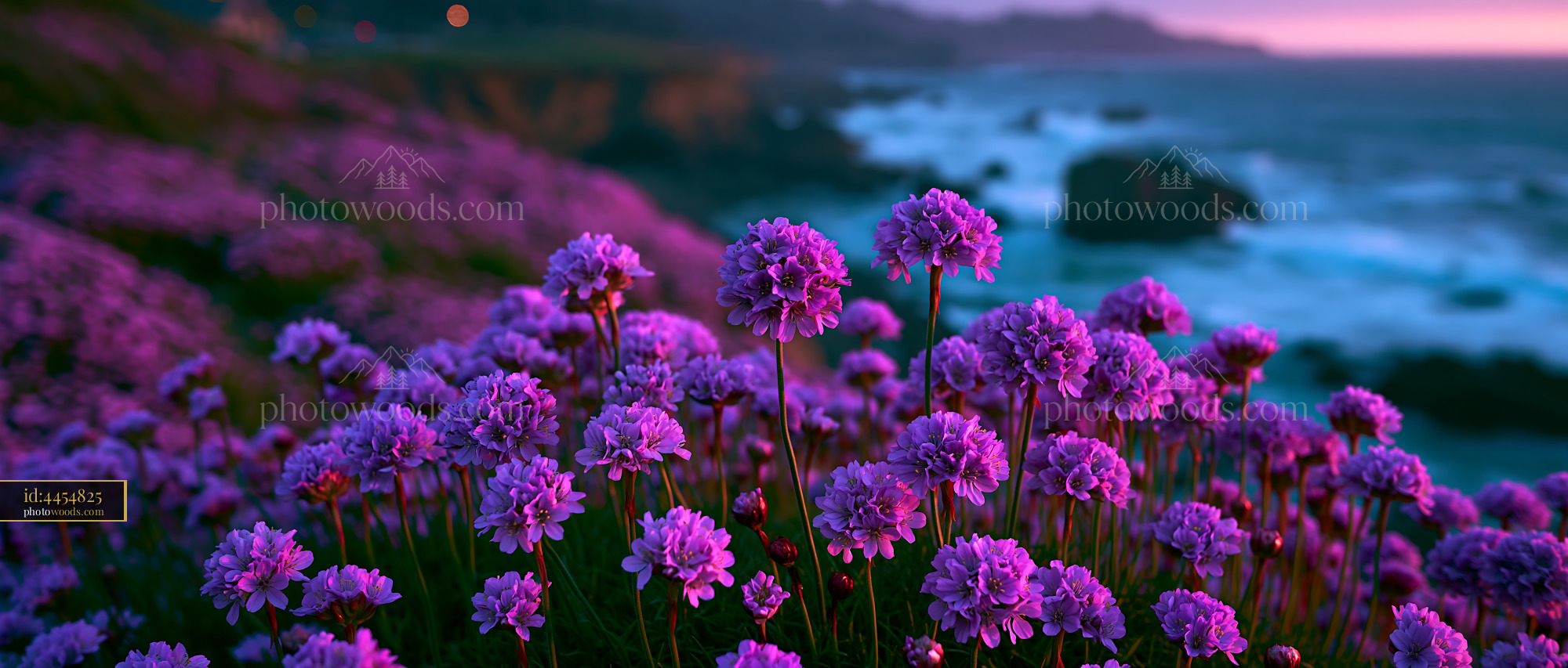 Flowers Bloom Near Ocean Waves at Dusk Creating Vibrant Scene