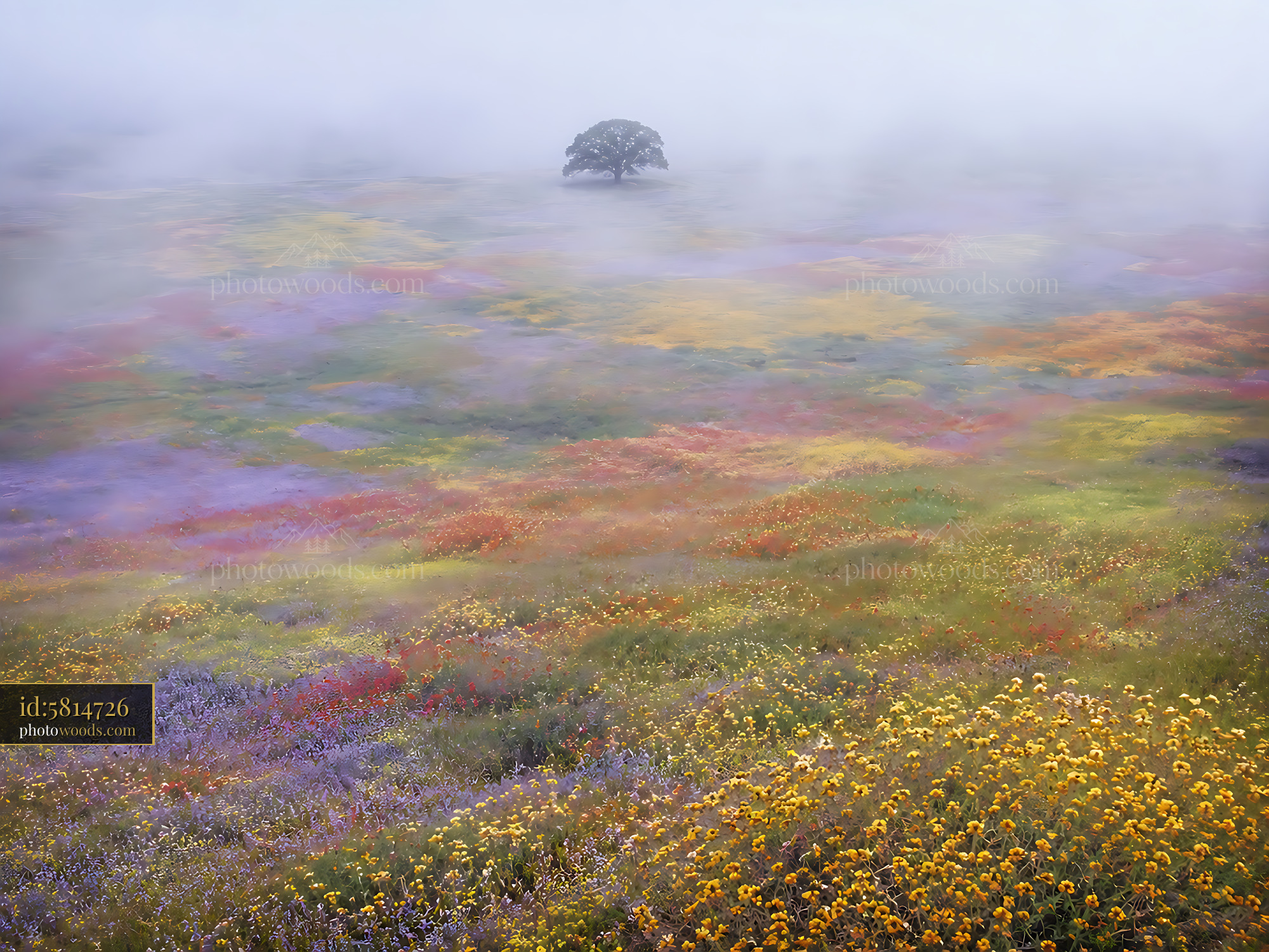 Field of Flowers With a Lone Tree Surrounded by Mist and Fog