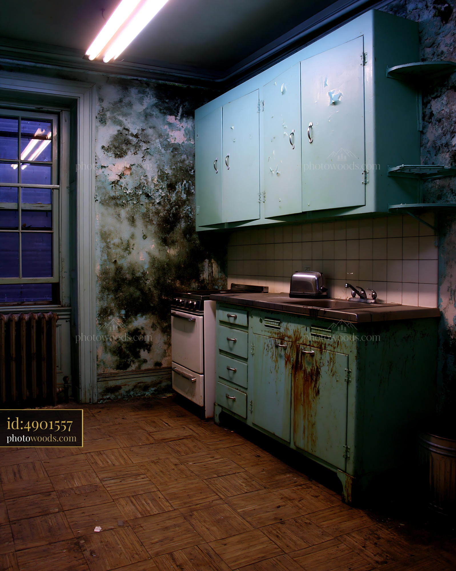 Dilapidated Kitchen With Mold and Worn Appliances
