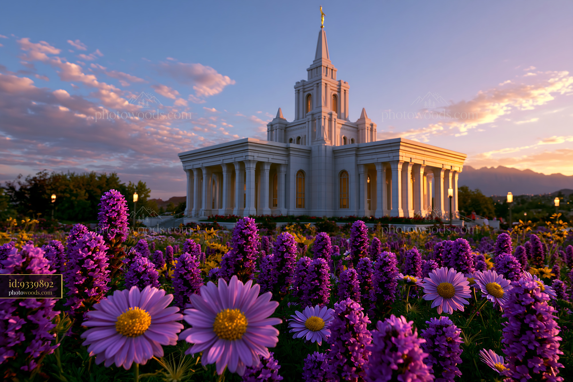 Flowers in Front of a Temple at Sunset in a Garden Setting