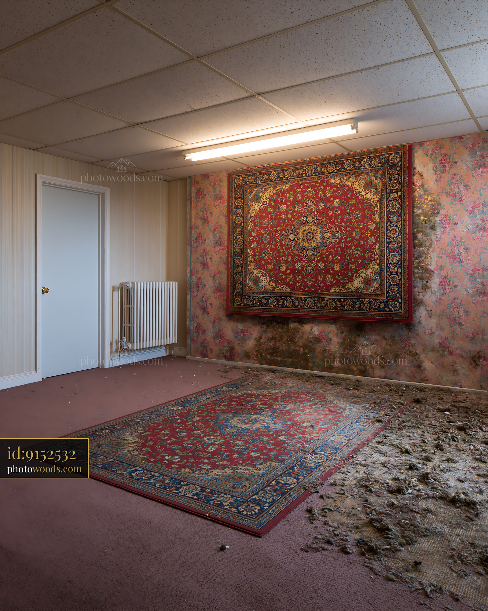 Faded Room With an Oriental Rug and Peeling Wallpaper