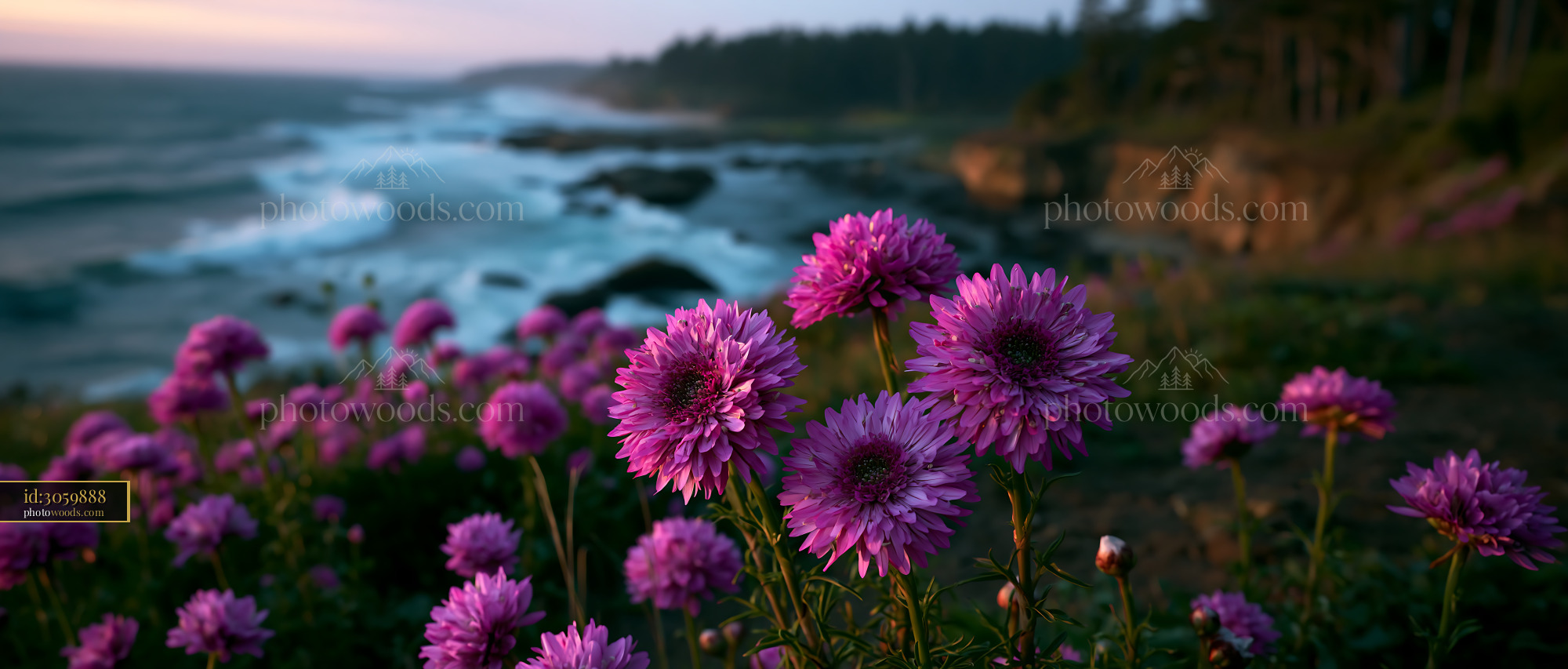 Purple Flowers Bloom Near Ocean Waves at Sunset