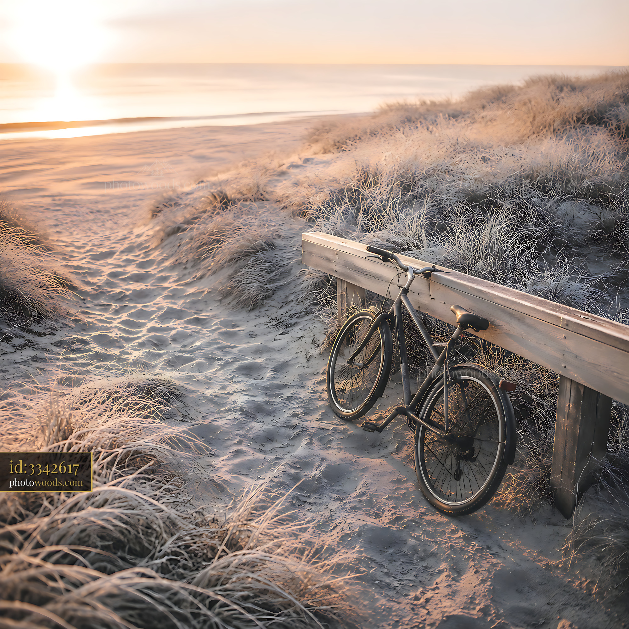 Bicycle Rests Against Wooden Fence Near Beach at Sunrise