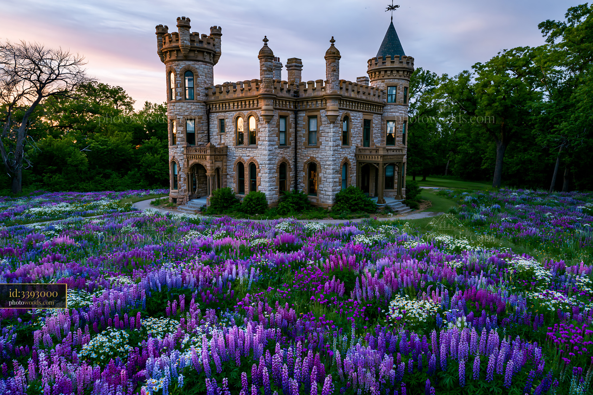 Castle Surrounded by Blooming Wildflowers at Sunset