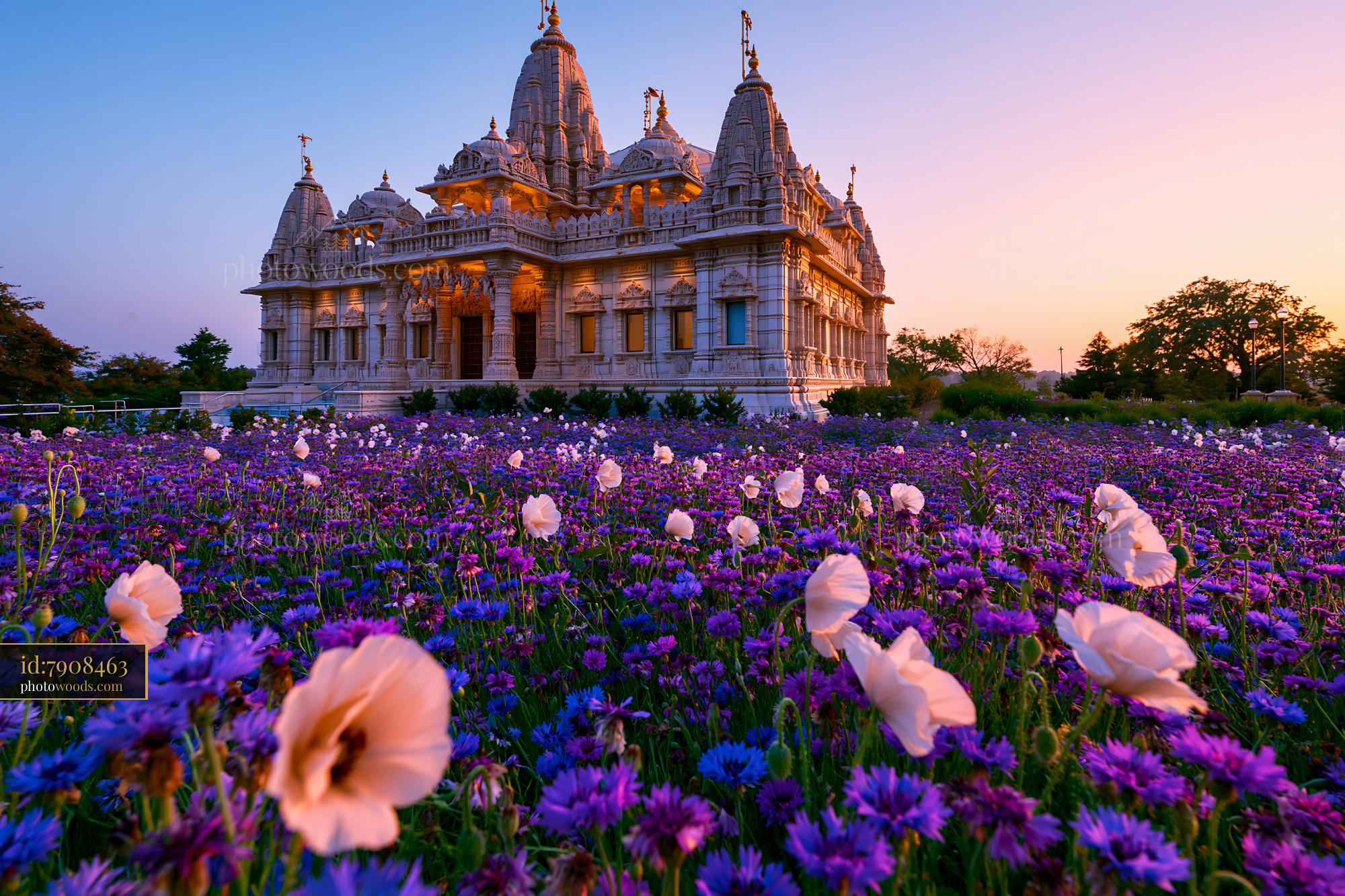 BAPS Swaminarayan Mandir in Flowers at Sunset in India