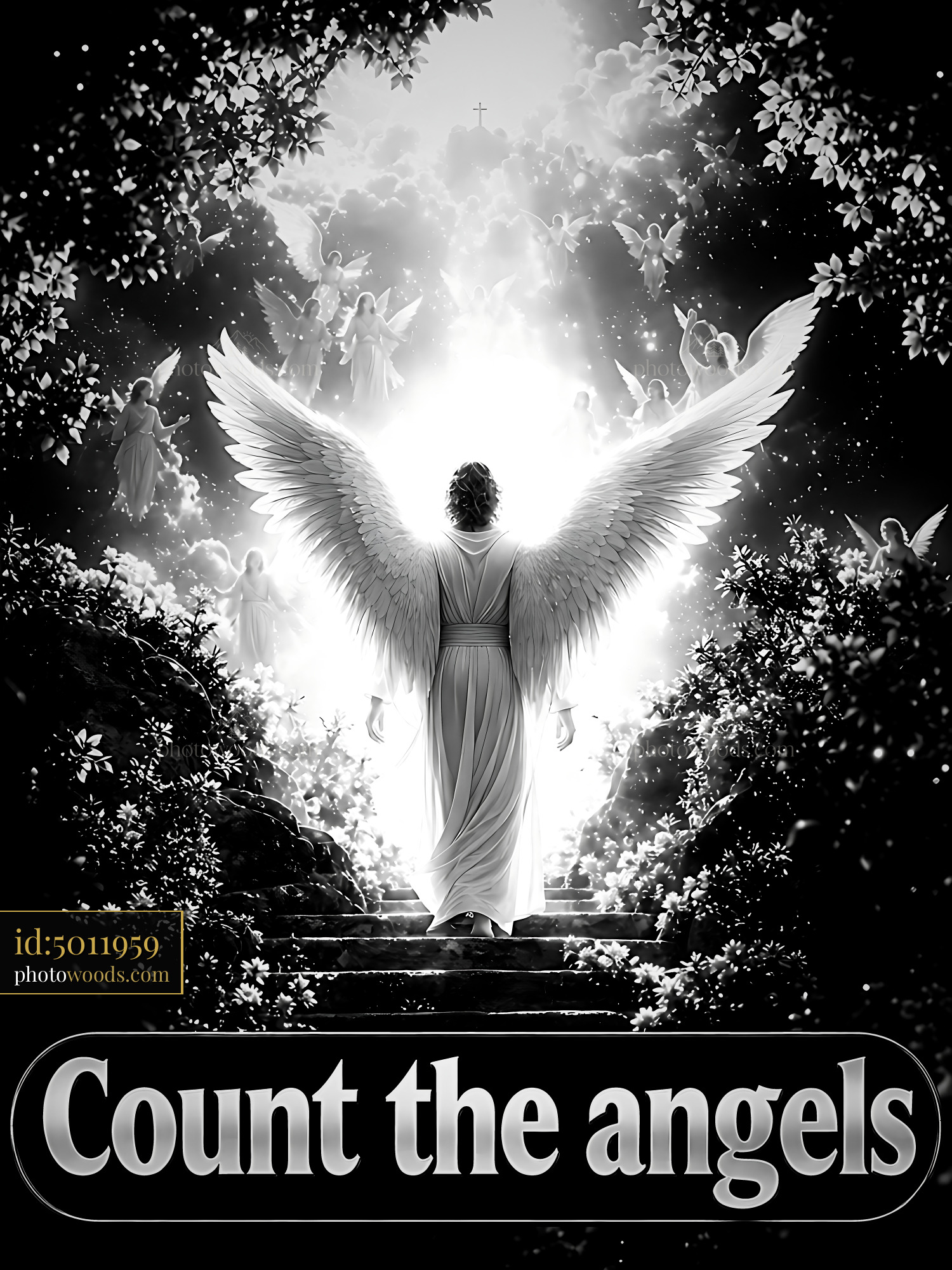 Count the Angels Approaching Light From the Dark Forest