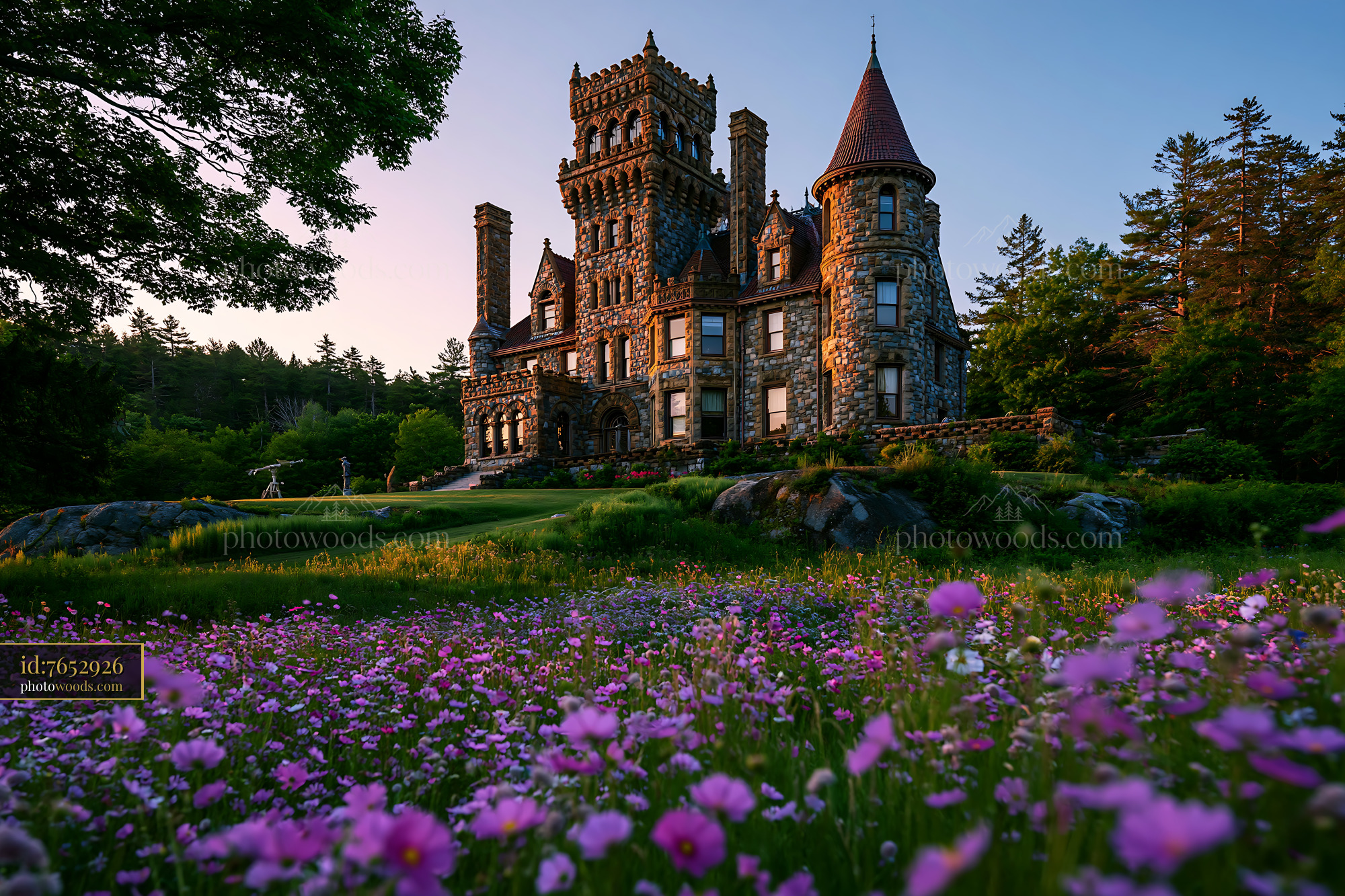 Searl Castle With Flowers in Front During Golden Hour