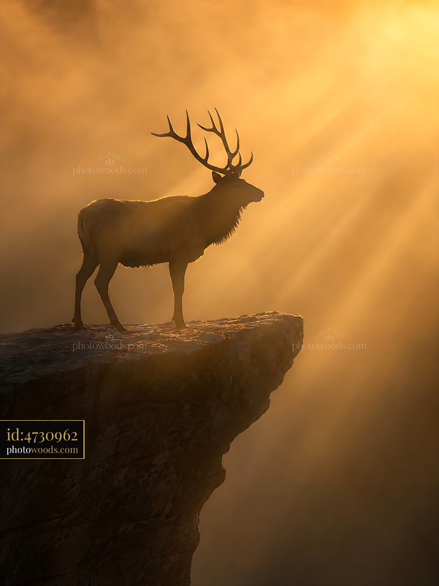 Deer Stands on Cliff as Sunlight Breaks Through Fog