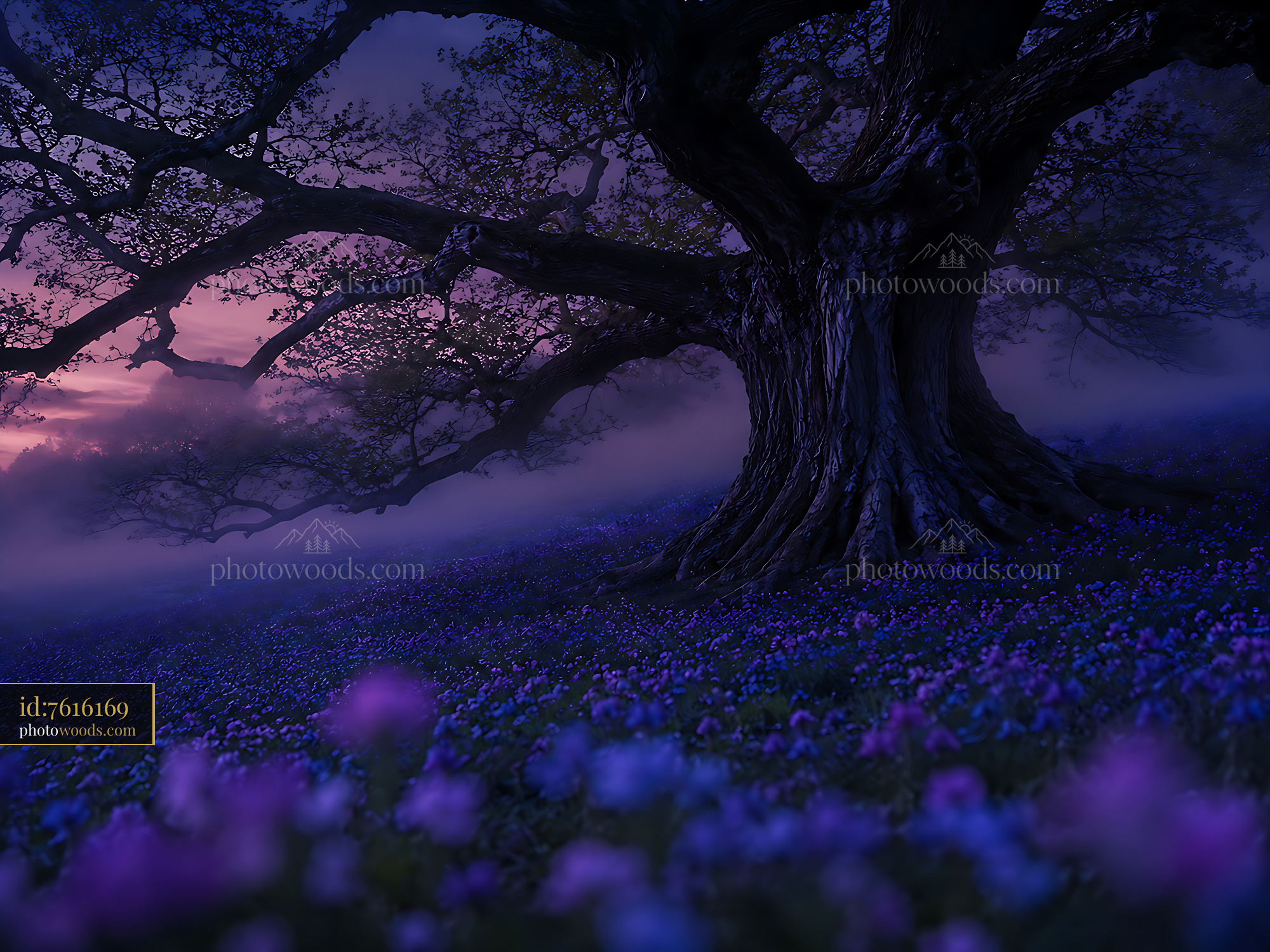 Large Tree Stands in a Field of Purple Flowers at Sunset