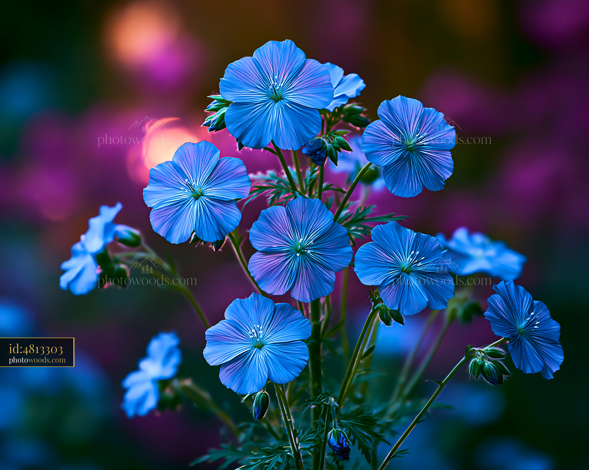 Blue Flowers Bloom Under Soft Light in a Garden at Dusk