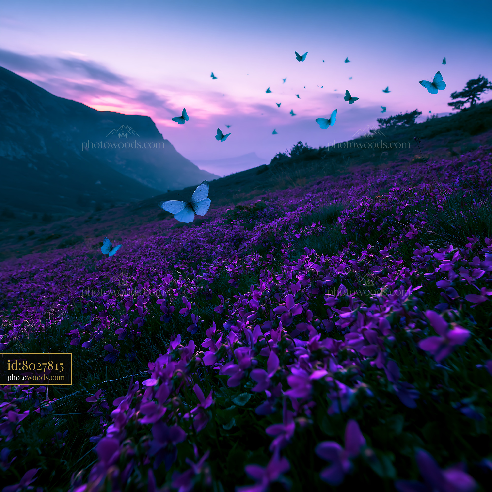 Foxglove in Meadow at Dusk With Butterflies