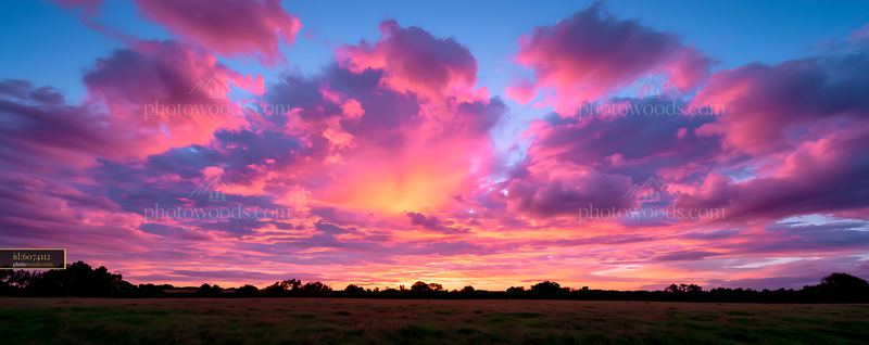Vivid pink sunset over an open field and tree-lined horizon
