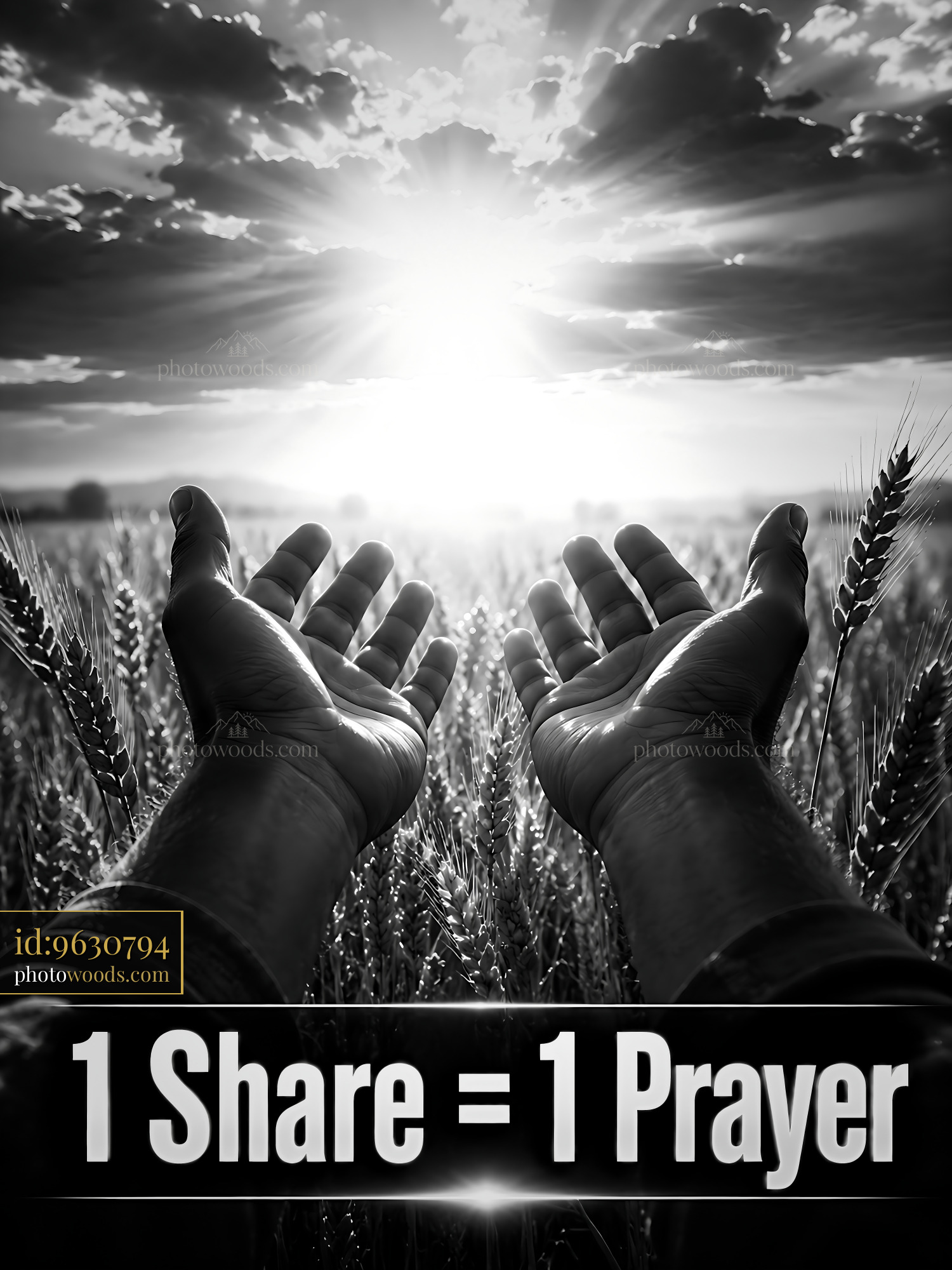 Hands Reaching for Sunlight in a Wheat Field at Sunset