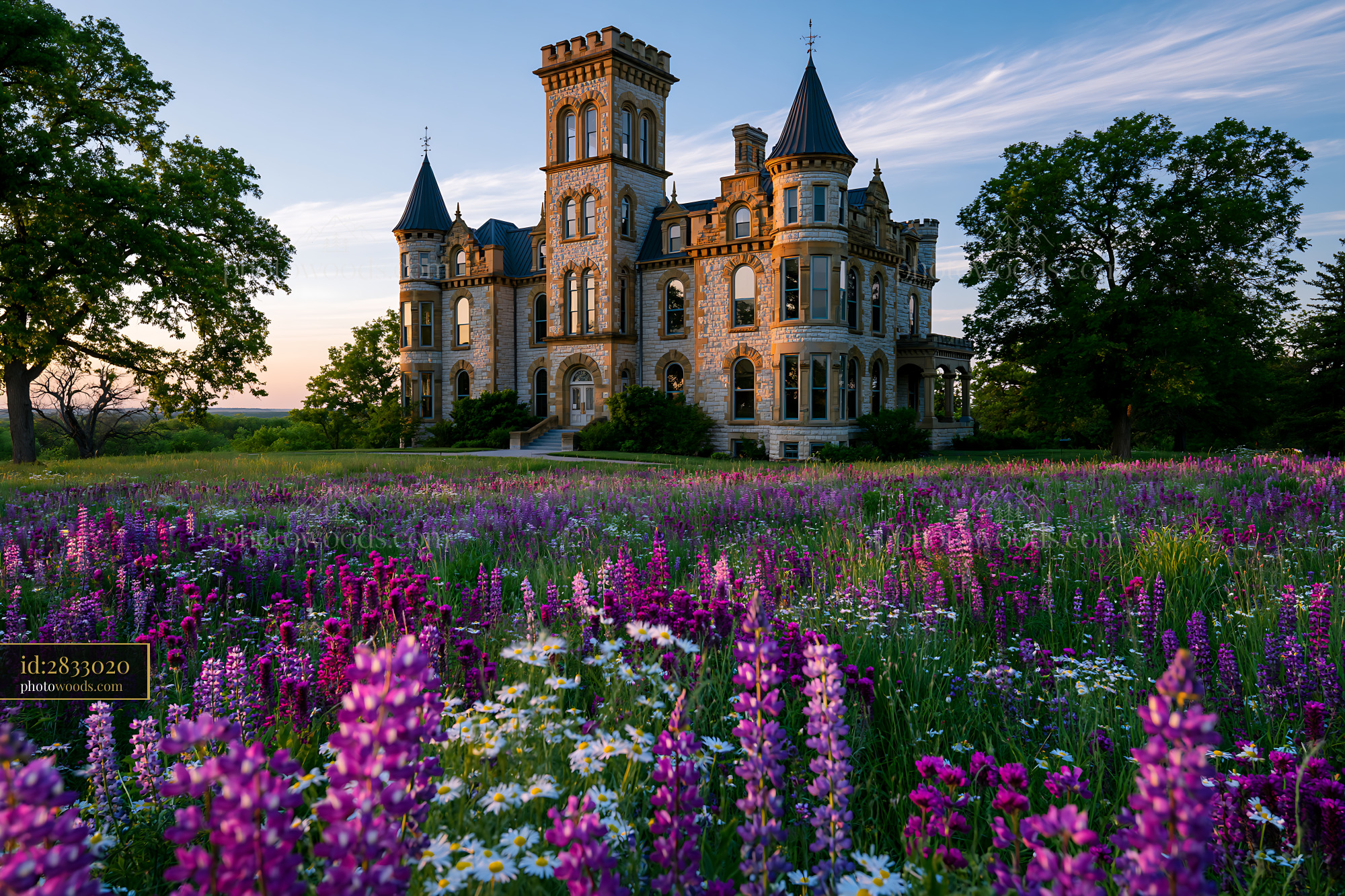 Historic Mansion Surrounded by Wildflowers in Sunset Light