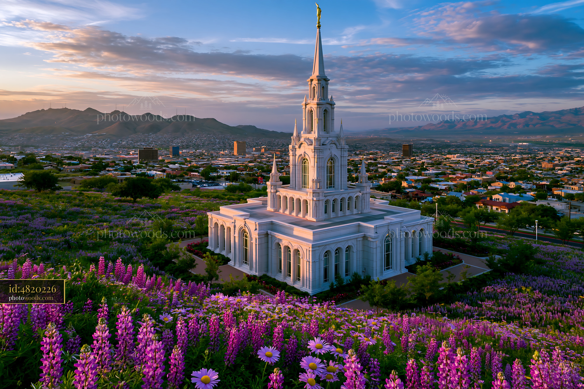 El Paso Temple With Blooming Flowers at Sunset in El Paso, USA