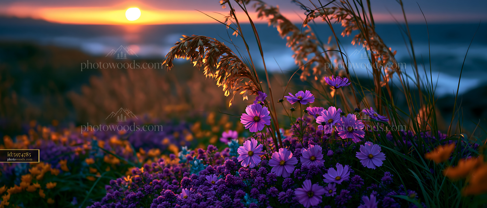 Flowers Bloom Near the Ocean During Sunset With Colorful Sky