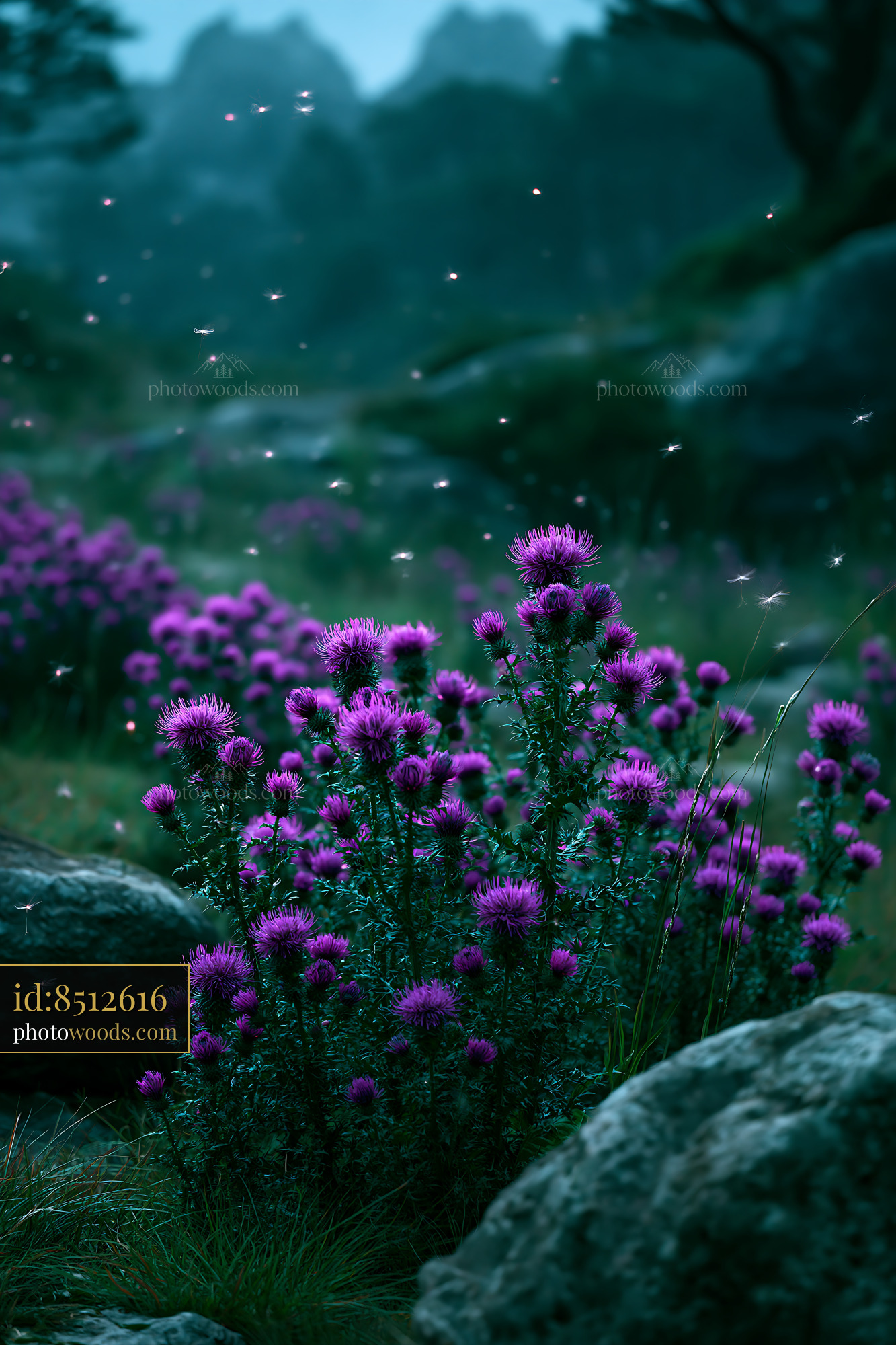 Thistle Blooming in Alpine Meadow at Dusk
