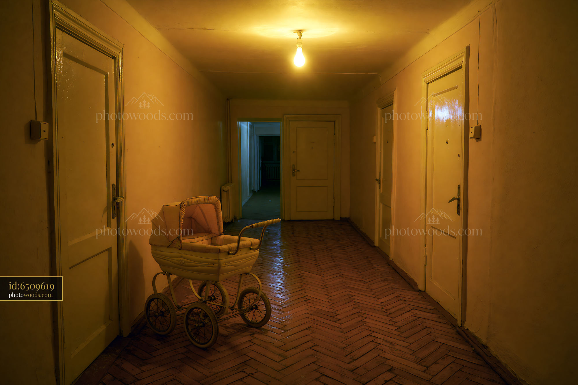 Abandoned Hallway in a Dim Soviet Apartment