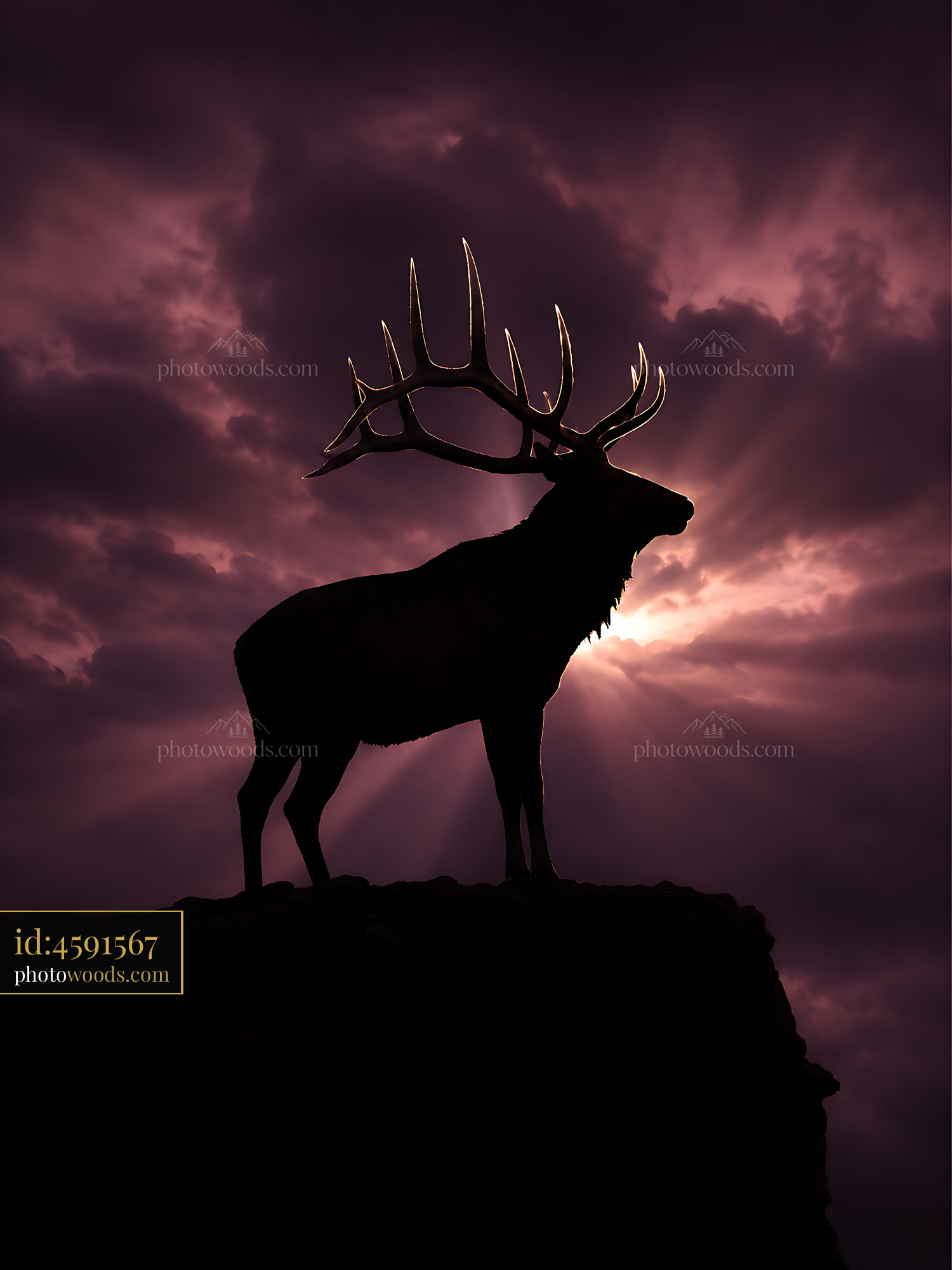 Deer Stands on a Cliff With Sunset Background and Dramatic Clouds