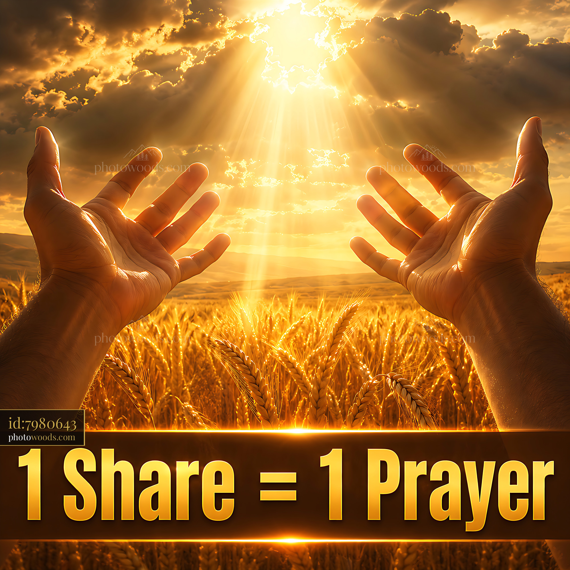 Hands Reaching Towards Sunlight in a Wheat Field at Sunset