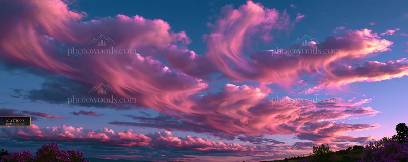 Colorful clouds at sunset over a landscape with trees