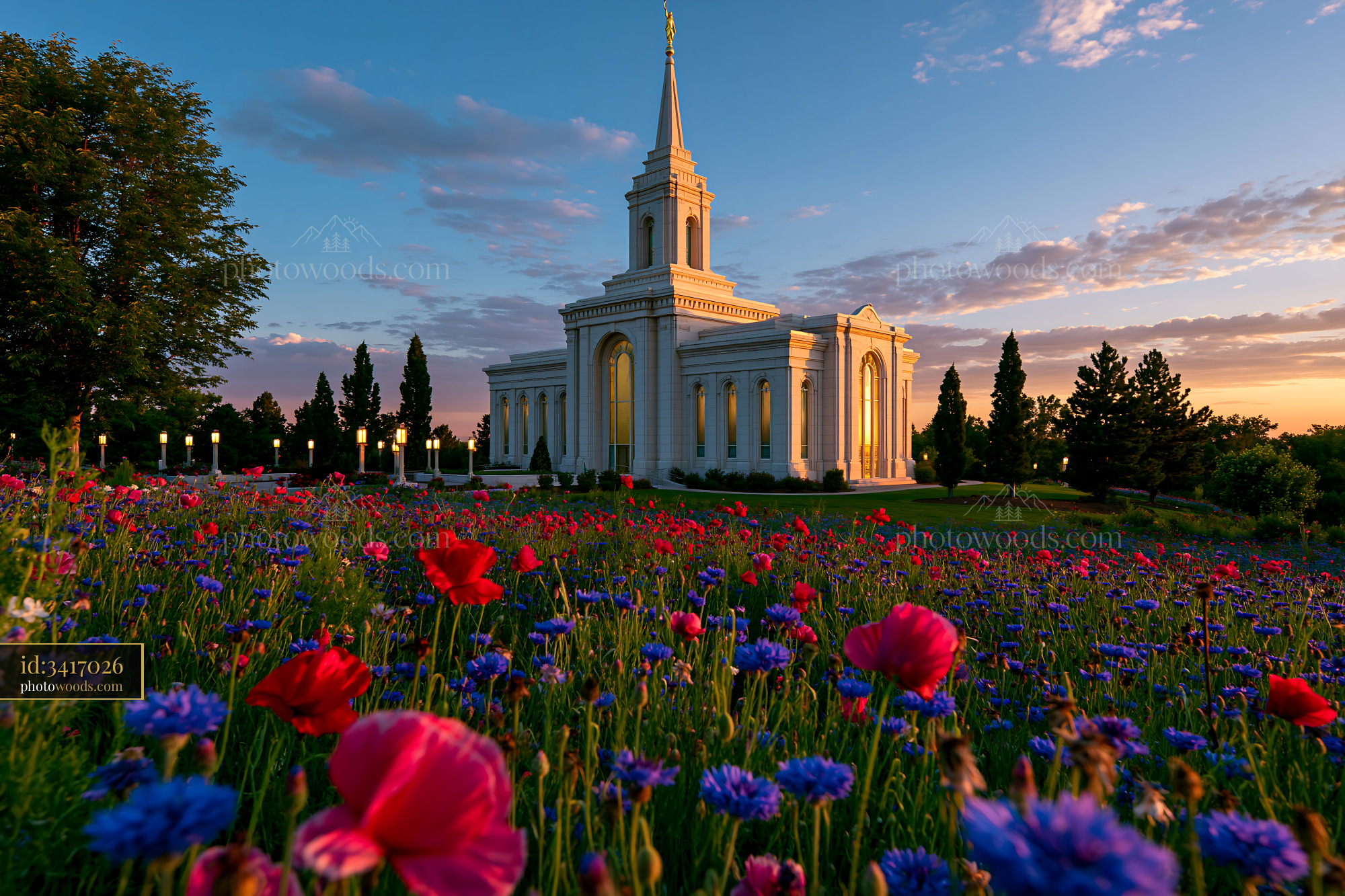 Denver Temple Surrounded by Colorful Flowers in Sunset Light