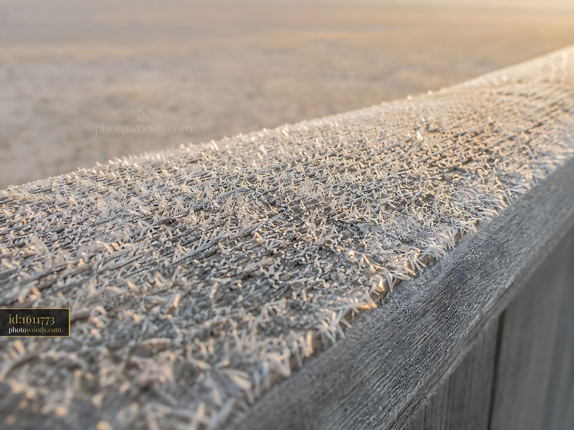Frost Covers Wooden Railing at Beach During Sunrise