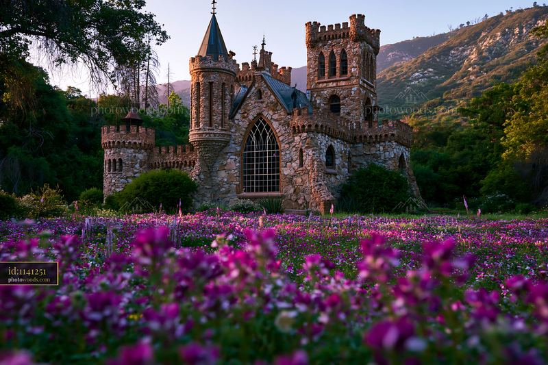 Stone castle surrounded by a colorful wildflower meadow