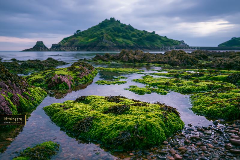 Coastline with island offshore during low tide with rocky shore