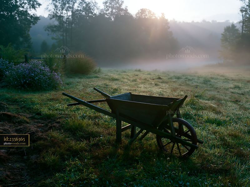 Wheelbarrow in a Misty Meadow at Sunrise
