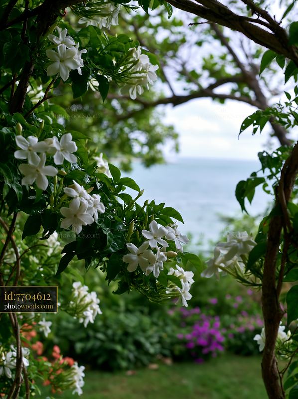 Flowers frame a coastal view with distant water and greenery