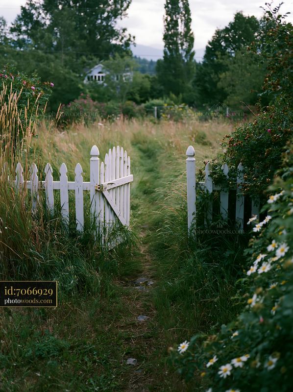 White garden gate opening onto a meadow path