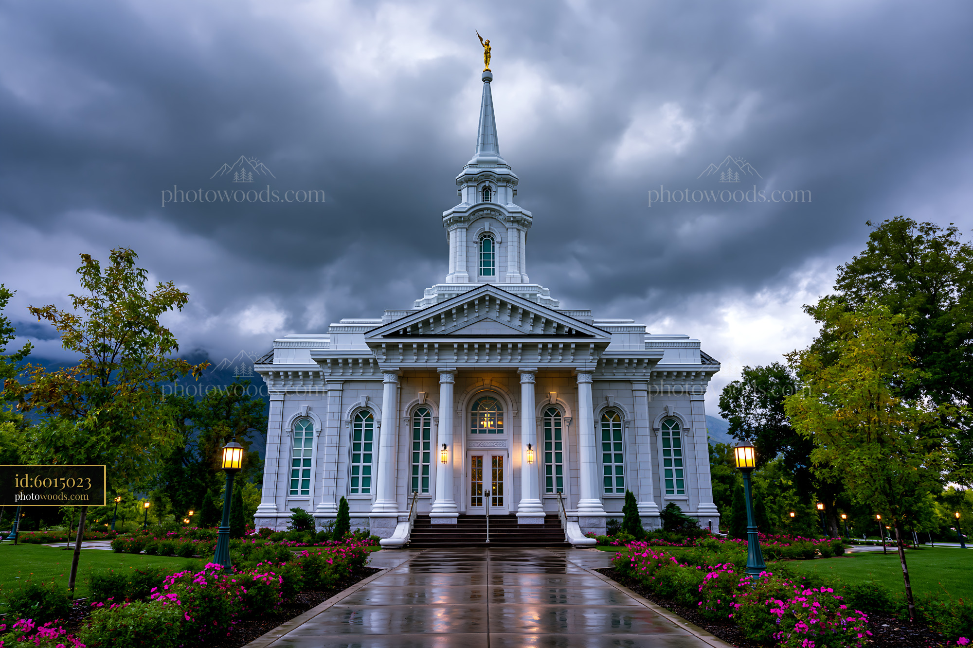 Wildflowers Blooming Near Mount Timpanogos Utah Temple