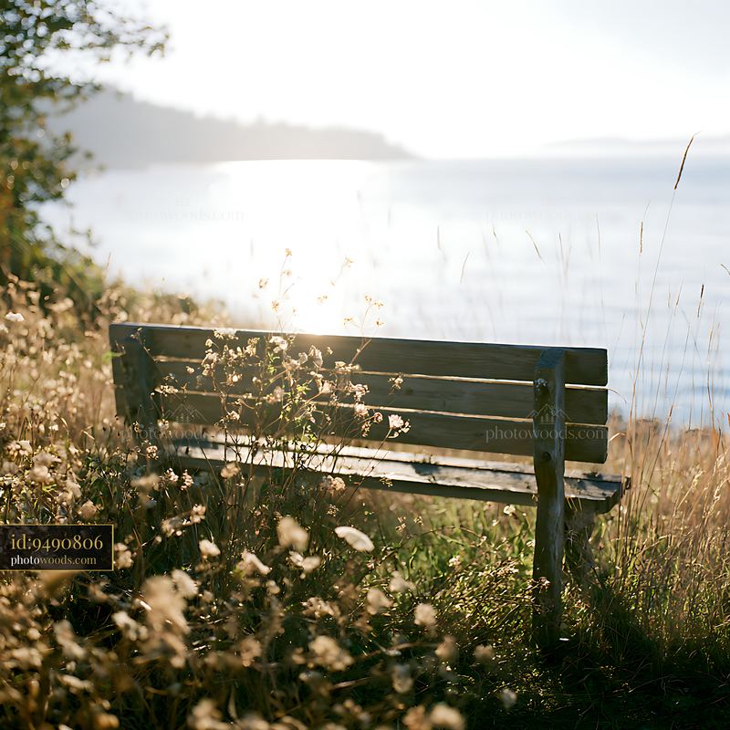 Autumn coastal meadow with fading flowers and a wooden bench