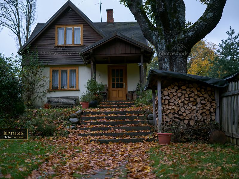 Rural home beneath mature oak trees in autumn