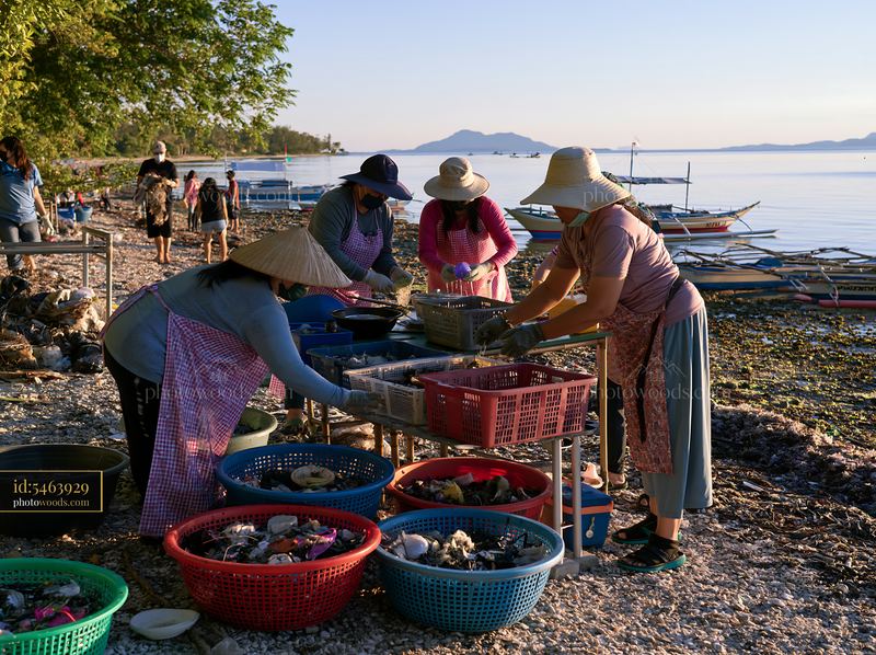 Coastline with plastic pollution cleanup effort at a beach