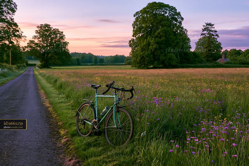Bicycle parked beside a meadow along a rural road at sunset