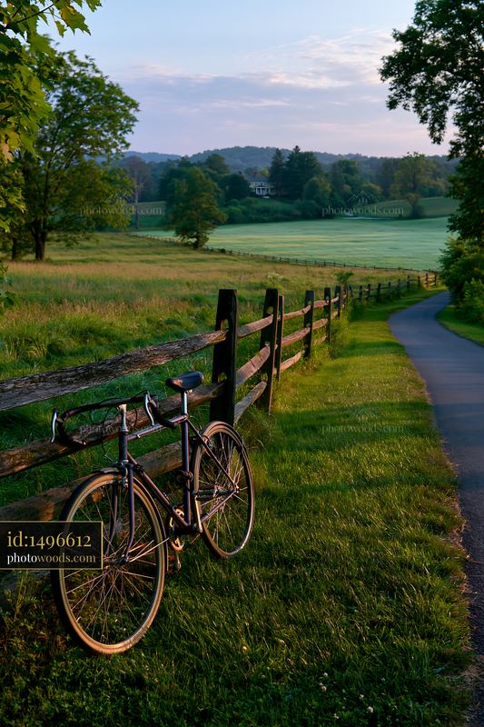 Bicycle parked beside a path in a freshly mowed meadow