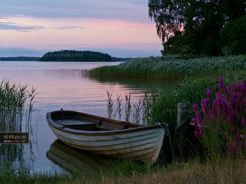 Island covered with sweet peas at dusk beside calm water